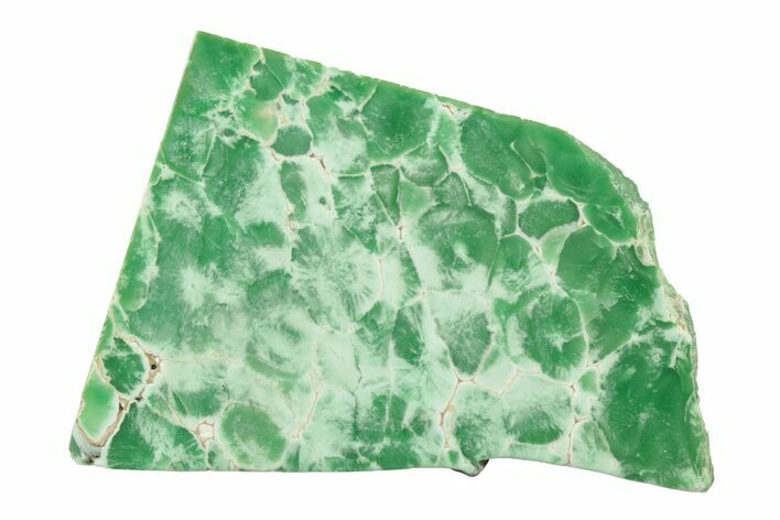 Polished Pastel Green Variscite Slice - Amatrice Hill, Utah #241191